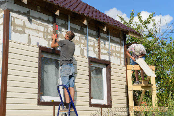 Best Siding Painting and Refinishing  in Alice, TX